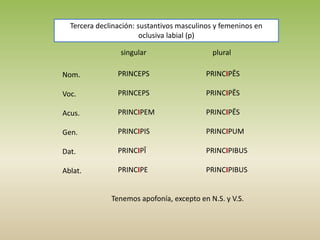 singular plural
Nom.
Voc.
Acus.
Gen.
Dat.
Ablat.
PRINCEPS
PRINCEPS
PRINCIPEM
PRINCIPIS
PRINCIPĪ
PRINCIPE
PRINCIPĒS
PRINCIPĒS
PRINCIPĒS
PRINCIPUM
PRINCIPIBUS
PRINCIPIBUS
Tercera declinación: sustantivos masculinos y femeninos en
oclusiva labial (p)
Tenemos apofonía, excepto en N.S. y V.S.
 