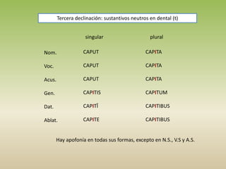 singular plural
Nom.
Voc.
Acus.
Gen.
Dat.
Ablat.
CAPUT
CAPUT
CAPUT
CAPITIS
CAPITĪ
CAPITE
CAPITA
CAPITA
CAPITA
CAPITUM
CAPITIBUS
CAPITIBUS
Tercera declinación: sustantivos neutros en dental (t)
Hay apofonía en todas sus formas, excepto en N.S., V.S y A.S.
 