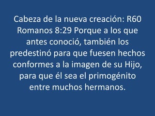 Cabeza de la nueva creación: R60
Romanos 8:29 Porque a los que
antes conoció, también los
predestinó para que fuesen hechos
conformes a la imagen de su Hijo,
para que él sea el primogénito
entre muchos hermanos.

 