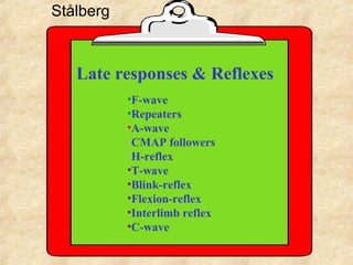 Late responses & Reflexes
•F-wave
•Repeaters
•A-wave
•CMAP followers
•H-reflex
•T-wave
•Blink-reflex
•Flexion-reflex
•Interlimb reflex
•C-wave
Stålberg
 