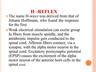 H –REFLEX
The name H-wave was derived from that of
Johann Hoffmann, who found the response
for the first
Weak electrical stimulation can excite group
Ia fibers from muscle spindle, and the
antidromic impulse gets conducted to the
spinal cord. Afferent fibers connect, via a
synapse, with the alpha motor neuron in the
spinal cord. Excitatory postsynaptic potential
(EPSP) causes the excitement of the alpha
motor neuron of the anterior horn cells in the
spinal cord.
 