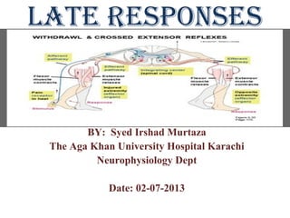 LATE RESPONSES
BY: Syed Irshad Murtaza
The Aga Khan University Hospital Karachi
Neurophysiology Dept
Date: 02-07-2013
 
