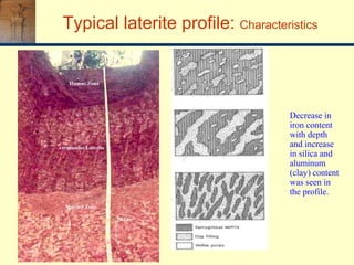 Decrease in
iron content
with depth
and increase
in silica and
aluminum
(clay) content
was seen in
the profile.
Typical laterite profile: Characteristics
 