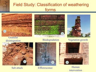 Field Study: Classification of weathering
forms
1
4
2
5 6
3
Granular
disintegration Biodegradation Vegetation growth
Human
intervention
EfflorescenceSalt attack
 
