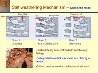 Salt weathering Mechanism – Schematic model
Phase 1
Leaching
Phase 2
Salt crystallisation
Phase 3
Debonding
Vesicules
Clay filled
cavities Salt
crystals
Fragments of
debonded laterite
Honeycomb
•Field weathering forms matched with the laboratory
findings
•Salt crystallisation attack was severe form of decay in
laterite
•Salt and moisture were the mechanisms of salt attack
 