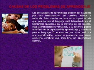 CAUSAS DE LOS PROBLEMAS DE APRENDIZAJE
          Las dificultades de aprendizaje pueden ser causadas
          por una lateralización del cerebro atípica o
          reducida. Esta premisa se basa en la suposición de
          que, puesto que el lenguaje está lateralizado en el
          hemisferio izquierdo en la mayoría de los sujetos,
          esta lateralización es ventajosa, y su ausencia puede
          interferir en la capacidad de aprendizaje y habilidad
          para el lenguaje. En el caso de que no se produzca
          una lateralización normal se produciría una menor
          asimetría cerebral que impediría un aprendizaje
          normal.
 