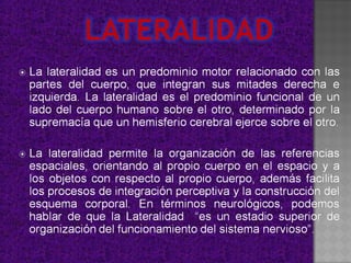 Lateralidad