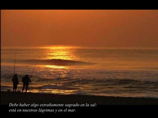 Debe haber algo extrañamente sagrado en la sal: está en nuestras lágrimas y en el mar. 