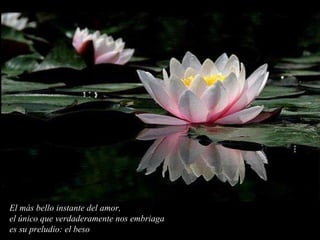 El más bello instante del amor, el único que verdaderamente nos embriaga es su preludio: el beso 