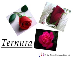 Ternura
          : Celine Dion & Luciano Pavaroti.
 