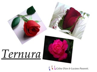 Ternura : Celine Dion & Luciano Pavaroti. 