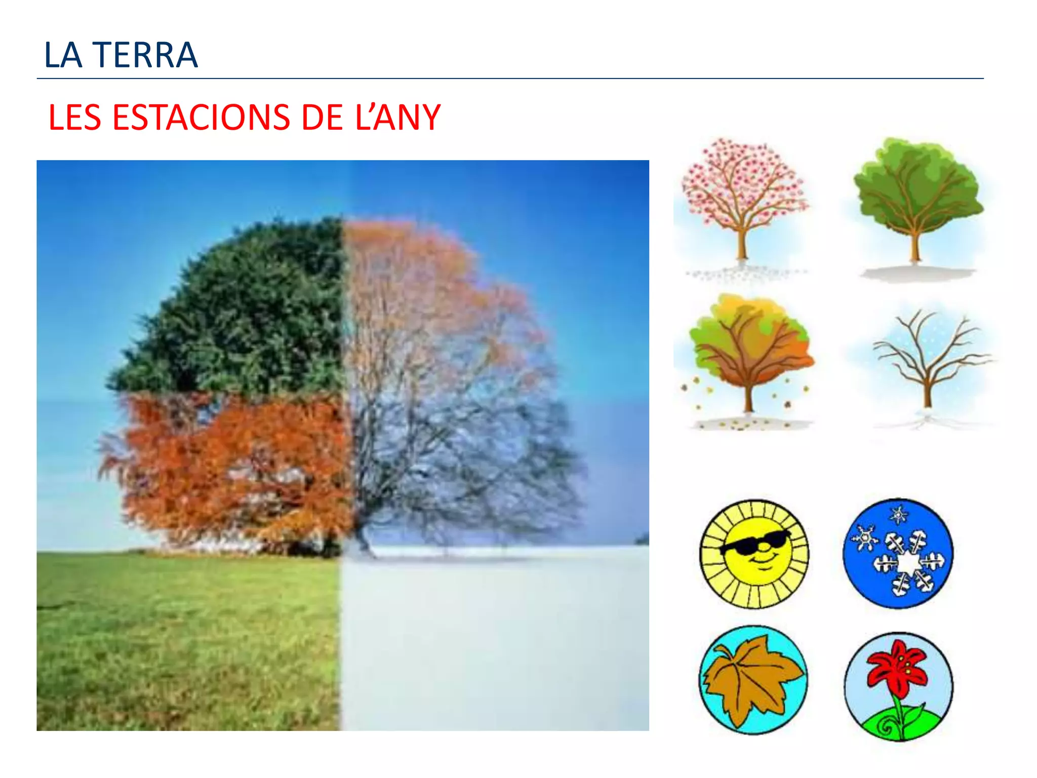 LA TERRA
LES ESTACIONS DE L’ANY
 