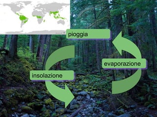 insolazione
evaporazione
pioggia
 