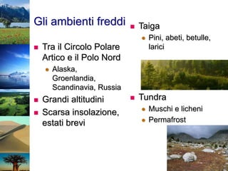 Gli ambienti freddi
 Tra il Circolo Polare
Artico e il Polo Nord
 Alaska,
Groenlandia,
Scandinavia, Russia
 Grandi altitudini
 Scarsa insolazione,
estati brevi
 Taiga
 Pini, abeti, betulle,
larici
 Tundra
 Muschi e licheni
 Permafrost
 