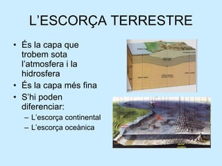 L’ESCORÇA TERRESTRE És la capa que trobem sota l’atmosfera i la hidrosfera És la capa més fina S’hi poden diferenciar: L’escorça continental L’escorça oceànica 