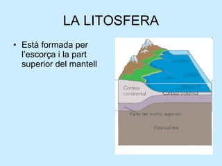 LA LITOSFERA Està formada per l’escorça i la part superior del mantell 