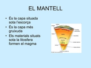 EL MANTELL <ul><li>És la capa situada sota l’escorça </li></ul><ul><li>És la capa més gruixuda </li></ul><ul><li>Els mater...
