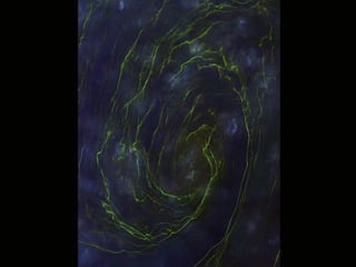 La terre vue de l’espace