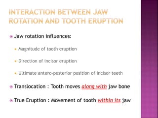Later stages in development | PPT