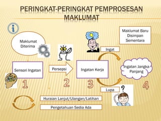 Maklumat
Diterima
Sensori Ingatan Persepsi Ingatan Kerja
Ingatan Jangka
Panjang
Ingat
Lupa
Maklumat Baru
Disimpan
Sementara
Huraian Lanjut/Ulangan/Latihan
Pengetahuan Sedia Ada
 
