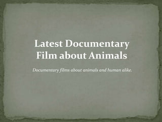Latest Documentary
Film about Animals
Documentary films about animals and human alike.
 