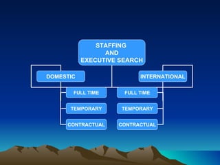 STAFFING  AND EXECUTIVE SEARCH DOMESTIC INTERNATIONAL FULL TIME TEMPORARY CONTRACTUAL FULL TIME TEMPORARY CONTRACTUAL 