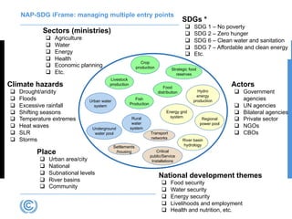 SDGs *
q SDG 1 – No poverty
q SDG 2 – Zero hunger
q SDG 6 – Clean water and sanitation
q SDG 7 – Affordable and clean energy
q Etc.
NAP-SDG iFrame: managing multiple entry points
Climate hazards
q Drought/aridity
q Floods
q Excessive rainfall
q Shifting seasons
q Temperature extremes
q Heat waves
q SLR
q Storms
Actors
q Government
agencies
q UN agencies
q Bilateral agencies
q Private sector
q NGOs
q CBOs
Place
q Urban area/city
q National
q Subnational levels
q River basins
q Community
Sectors (ministries)
q Agriculture
q Water
q Energy
q Health
q Economic planning
q Etc.
National development themes
q Food security
q Water security
q Energy security
q Livelihoods and employment
q Health and nutrition, etc.
Urban water
system
Rural
water
systemUnderground
water pool
Fish
Production
Food
distribution
Livestock
production
Crop
production
River basin
hydrology
Hydro
energy
production
Regional
power pool
Energy grid
system
Strategic food
reserves
Settlements
/housing Critical
public/Service
Installations
Transport
networks
 