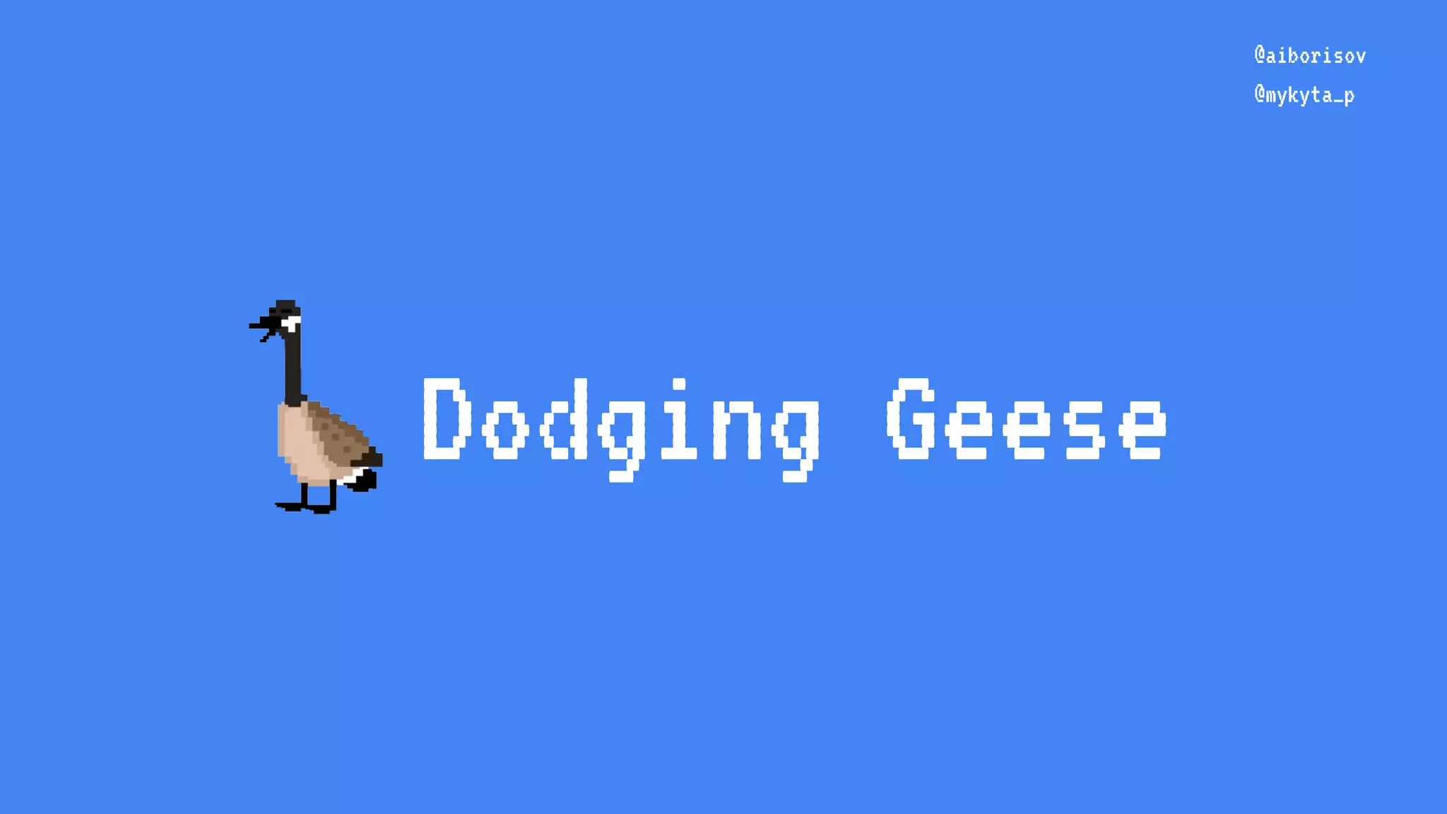 Dodging Geese @aiborisov @mykyta_p 