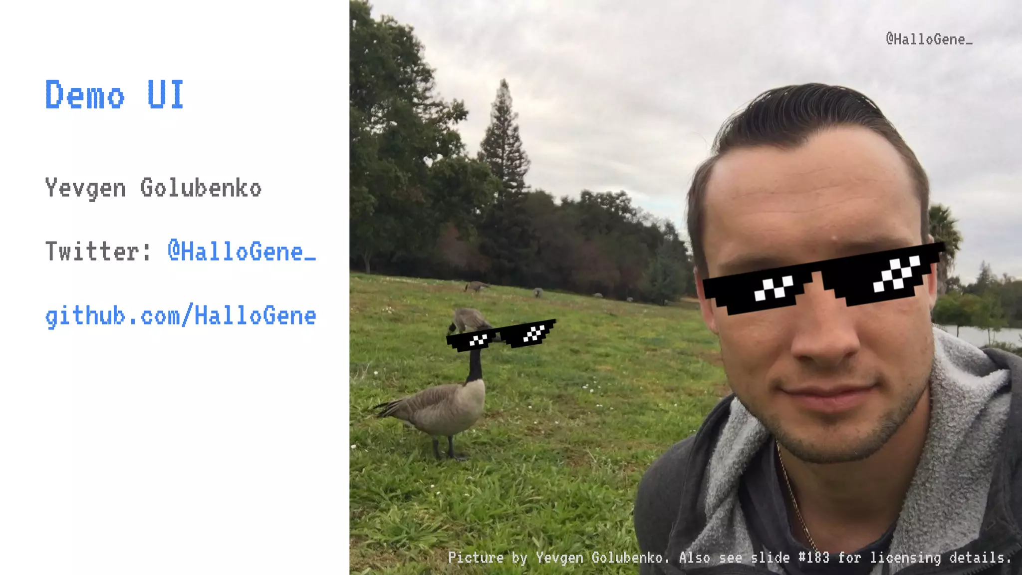 @aiborisov @mykyta_p Demo UI @HalloGene_ Yevgen Golubenko Twitter: @HalloGene_ github.com/HalloGene Picture by Yevgen Golubenko. Also see slide #183 for licensing details. 