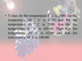 • V max for the temperature 8˚ C is 2000, for the
temperature 28 ˚ C is 1250 and for the
temperature 40 ˚ C is 2000. Km for the
temperature 8 ˚ C is 105.00. Then Km for
temperature 28˚ C is 62.00 and Km for
temperature 40˚ C is 100.00.
 