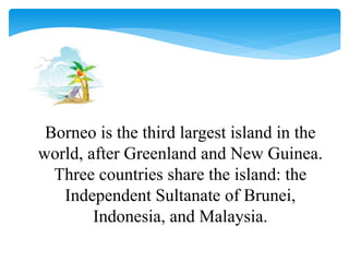 Borneo is the third largest island in the
world, after Greenland and New Guinea.
Three countries share the island: the
Independent Sultanate of Brunei,
Indonesia, and Malaysia.
 