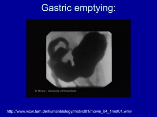 Gastric emptying: http://www.wzw.tum.de/humanbiology/motvid01/movie_04_1mot01.wmv 