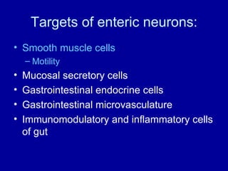 Targets of enteric neurons: Smooth muscle cells Motility Mucosal secretory cells Gastrointestinal endocrine cells Gastrointestinal microvasculature Immunomodulatory and inflammatory cells of gut 