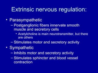 Extrinsic nervous regulation: Parasympathetic  Postganglionic fibers innervate smooth muscle and secretory cells Acetylcholine is main neurotransmitter, but there are others Stimulates motor and secretory activity Sympathetic Inhibits motor and secretory activity Stimulates sphincter and blood vessel contraction 