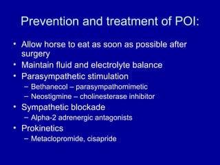 Prevention and treatment of POI: Allow horse to eat as soon as possible after surgery Maintain fluid and electrolyte balance Parasympathetic stimulation Bethanecol – parasympathomimetic Neostigmine – cholinesterase inhibitor Sympathetic blockade Alpha-2 adrenergic antagonists Prokinetics Metaclopromide, cisapride 