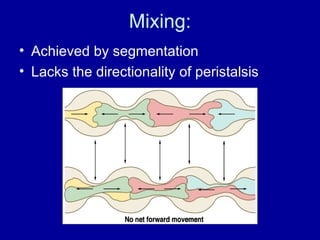 Mixing: Achieved by segmentation Lacks the directionality of peristalsis 