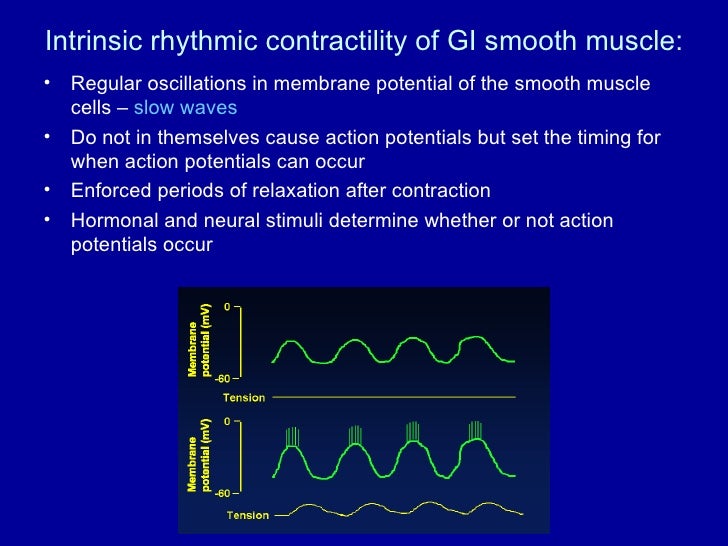 Gut motility lecture