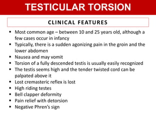 High Riding Testes Inguinalscrotal Disease | PPTX