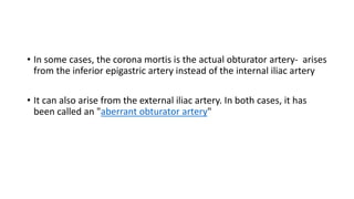 • In some cases, the corona mortis is the actual obturator artery- arises
from the inferior epigastric artery instead of the internal iliac artery
• It can also arise from the external iliac artery. In both cases, it has
been called an "aberrant obturator artery"
 
