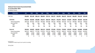 Latest Philippine Borrowing Experience.pdf