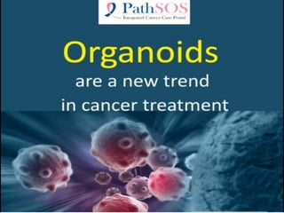 Recent advances in cancer treatment @PathSOS | PPTX