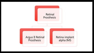 Latest Trends in Low Vision: Innovations and Therapies for Visual ...