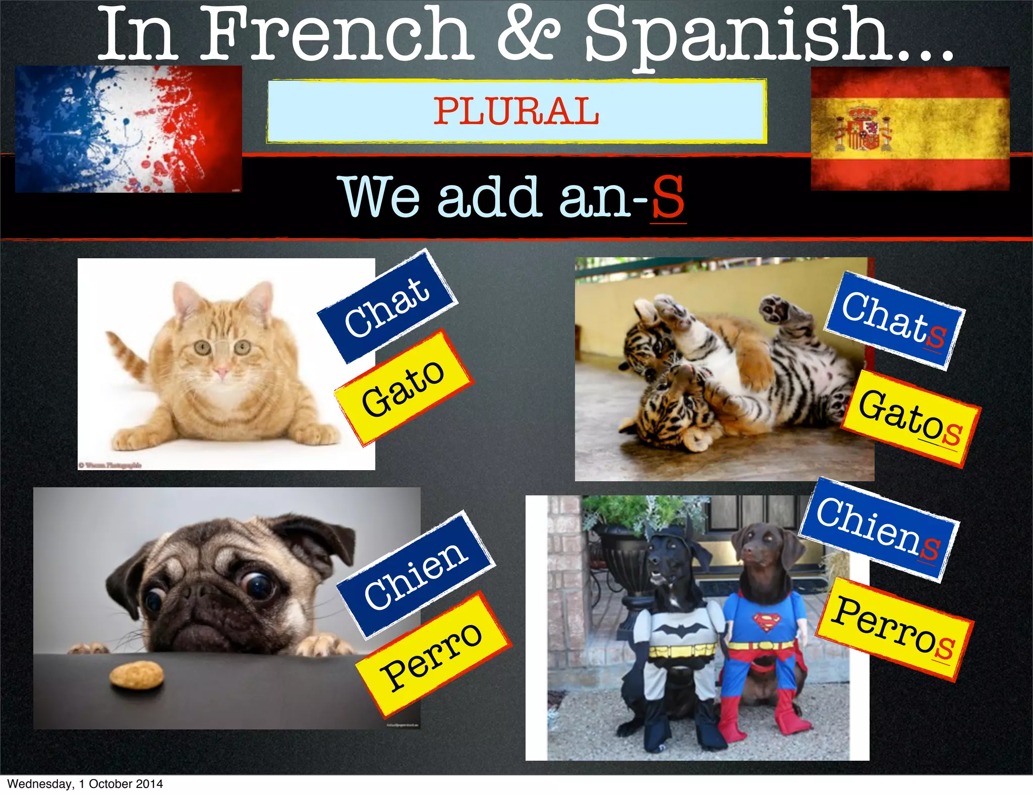 In French & Spanish... 
PLURAL 
We add an-S 
Chat 
Gato 
Chats 
Gatos 
Chien 
Perro 
Chiens 
Perros 
Wednesday, 1 October 2014 
 