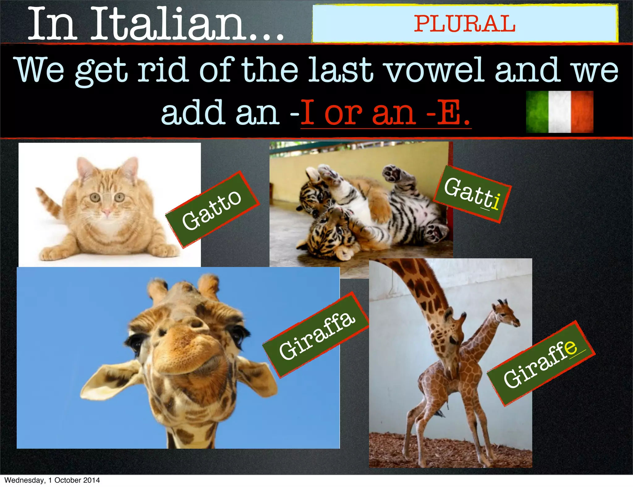 In Italian... PLURAL 
We get rid of the last vowel and we 
add an -I or an -E. 
Gatto 
Gatti 
Giraffa 
Giraffe 
Wednesday, 1 October 2014 
 