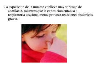 La exposición de la mucosa conlleva mayor riesgo de anafilaxia, mientras que la exposición cutánea o respiratoria ocasionalmente provoca reacciones sistémicas graves. 