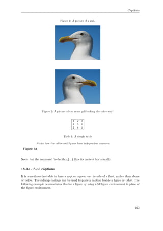Captions
Figure 63
Note that the command reﬂectbox{...} ﬂips its content horizontally.
18.3.1. Side captions
It is sometimes desirable to have a caption appear on the side of a ﬂoat, rather than above
or below. The sidecap package can be used to place a caption beside a ﬁgure or table. The
following example demonstrates this for a ﬁgure by using a SCﬁgure environment in place of
the ﬁgure environment.
223
 