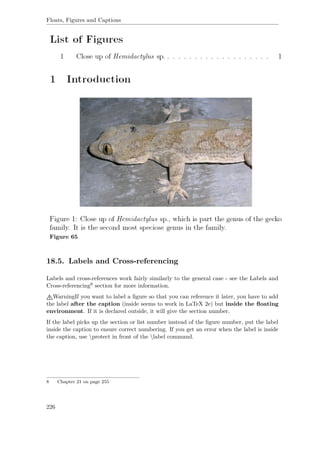 Floats, Figures and Captions
Figure 65
18.5. Labels and Cross-referencing
Labels and cross-references work fairly similarly to the general case - see the Labels and
Cross-referencing8 section for more information.
WarningIf you want to label a ﬁgure so that you can reference it later, you have to add
the label after the caption (inside seems to work in LaTeX 2e) but inside the ﬂoating
environment. If it is declared outside, it will give the section number.
If the label picks up the section or list number instead of the ﬁgure number, put the label
inside the caption to ensure correct numbering. If you get an error when the label is inside
the caption, use protect in front of the label command.
8 Chapter 21 on page 255
226
 