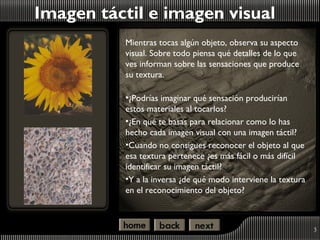 Imagen táctil e imagen visual
          Mientras tocas algún objeto, observa su aspecto
          visual. Sobre todo piensa qué detalles de lo que
          ves informan sobre las sensaciones que produce
          su textura.

          •¿Podrías imaginar qué sensación producirían
          estos materiales al tocarlos?
          •¿En qué te basas para relacionar como lo has
          hecho cada imagen visual con una imagen táctil?
          •Cuando no consigues reconocer el objeto al que
          esa textura pertenece ¿es más fácil o más difícil
          identificar su imagen táctil?
          •Y a la inversa ¿de qué modo interviene la textura
          en el reconocimiento del objeto?



                                                               3
 