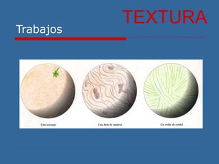 Trabajos
TEXTURA
 