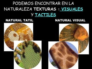 PODEMOS ENCONTRAR EN LA NATURALEZA TEXTURAS : VISUALES Y TACTILES NATURAL VISUAL NATURAL TATIL